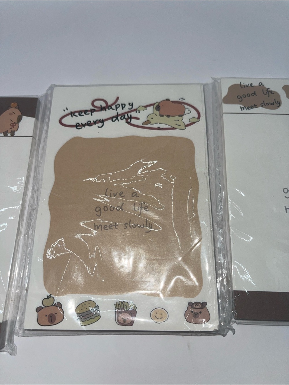 Capybara Sticky note set - Picture 3 of 4